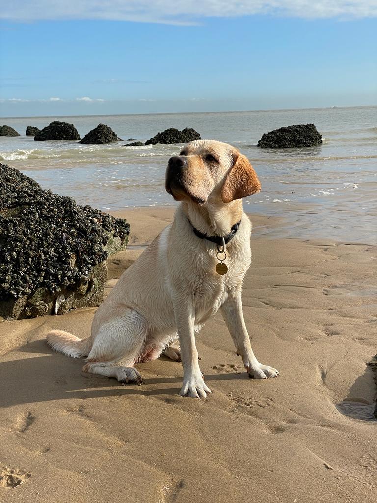 Lotti in Holland